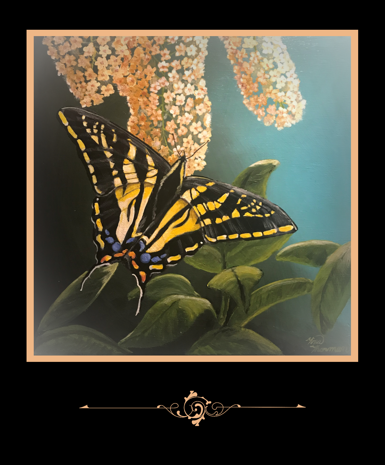 "Butterfly" Greeting Card Variety Pack