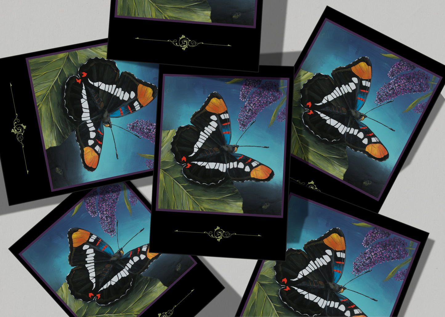 "Poised for Flight" Greeting Card pack