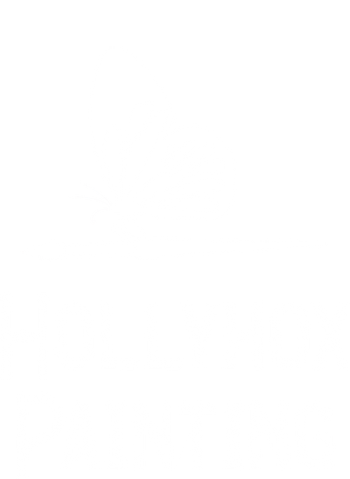 Hollyhox Painting