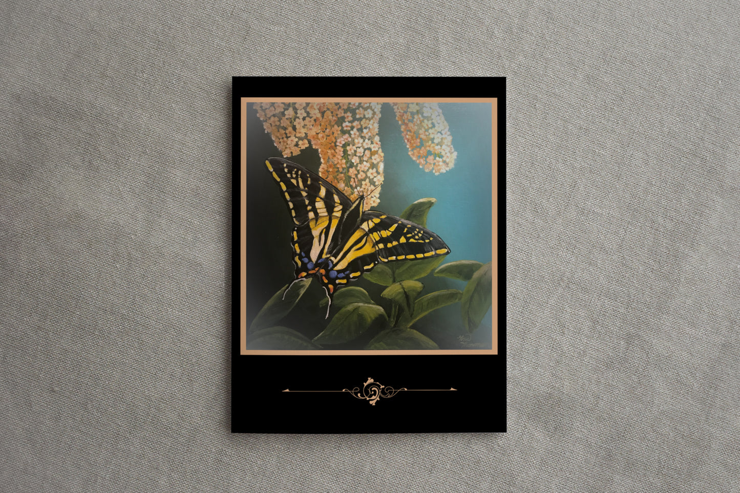 "Butterfly" Greeting Card Variety Pack